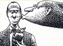 MAX FCU</br>Bankimals</br>Campaign