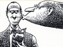 MAX FCU</br>Bankimals</br>Campaign